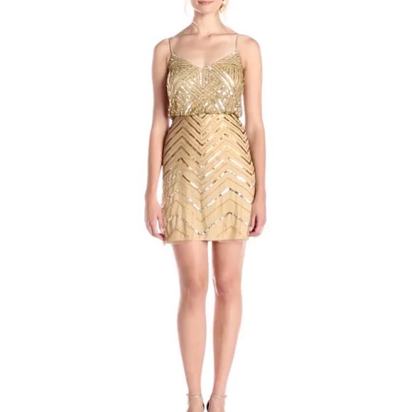 NWT Adrianna Papell Embellished‎ Mesh Blouson Dress - Picture 12 of 12